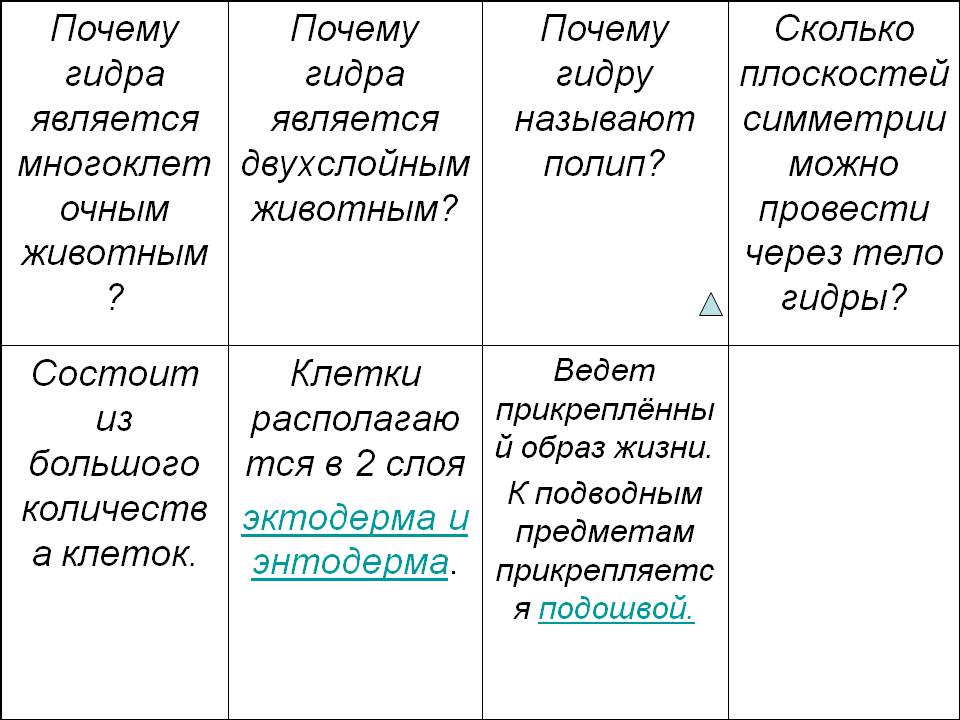 Ссылка на кракен онион