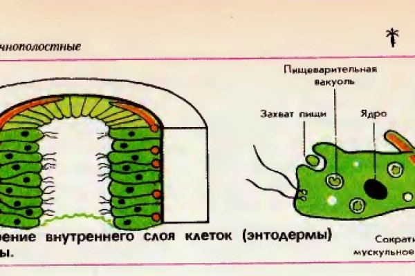 Кракен наркомаркетплейс