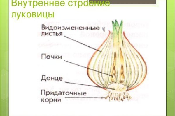 Kraken актуальный сайт